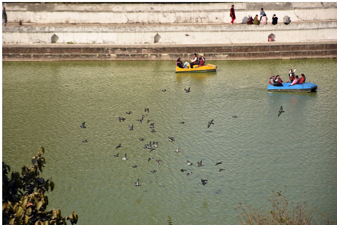 आजका तस्बिर- कात्तिक २८