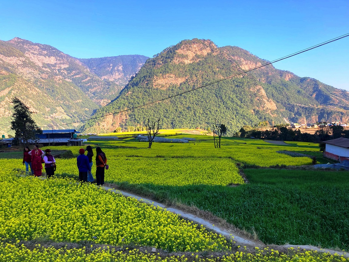 प्रत्येक वर्ष माघ शुक्ल पञ्चमीका दिन मनाइने बसन्त पञ्चमी पर्व आज बिहान १०ः४७ बजेको शुभ साइत पारेर काठमाडौंको नासल चोकमा बसन्त श्रवण गरी मनाइएको छ। हनुमानढोकाको नासल चोकमा बसन्त श्रवणको कार्यक्रम राखिएको हो। तस्बिर: निशा भण्डारी