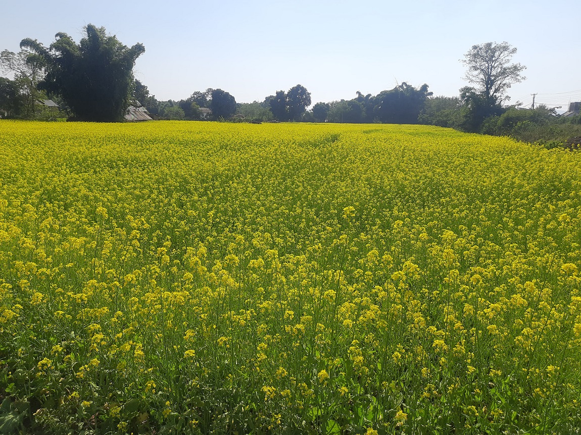 ललितपुरको कुपण्डोलस्थित एक सार्वजनिक पार्कमा रंग लगाउँदै एक कामदार। तस्वीर : नवीनबाबु गुरूङ/ सेतोपाटी