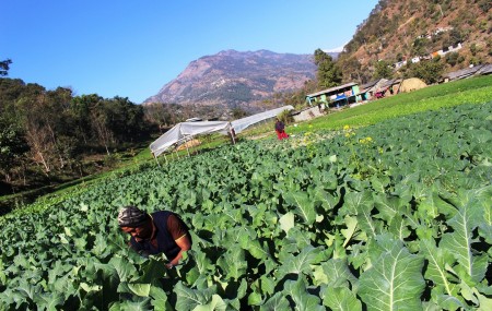 फाइल तस्वीर