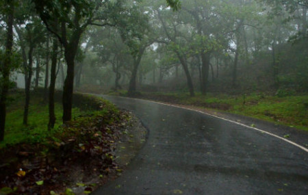 प्रतीकात्मक तस्वीर।