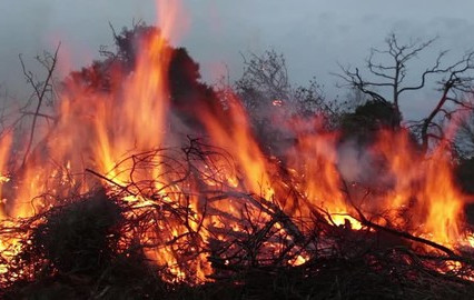 प्रतिकात्मक तस्वीर