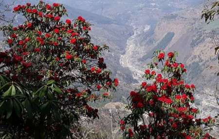 फाइल तस्बिर : रासस