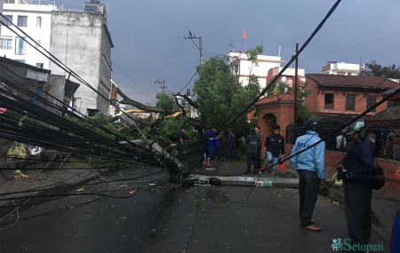 वैशाख ६ गते आएको हावाहुरी र पानीका कारण झम्सिखेलमा ढलेको रूख। तस्बिरः सेतोपाटी