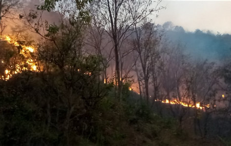 फाइल तस्बिर।