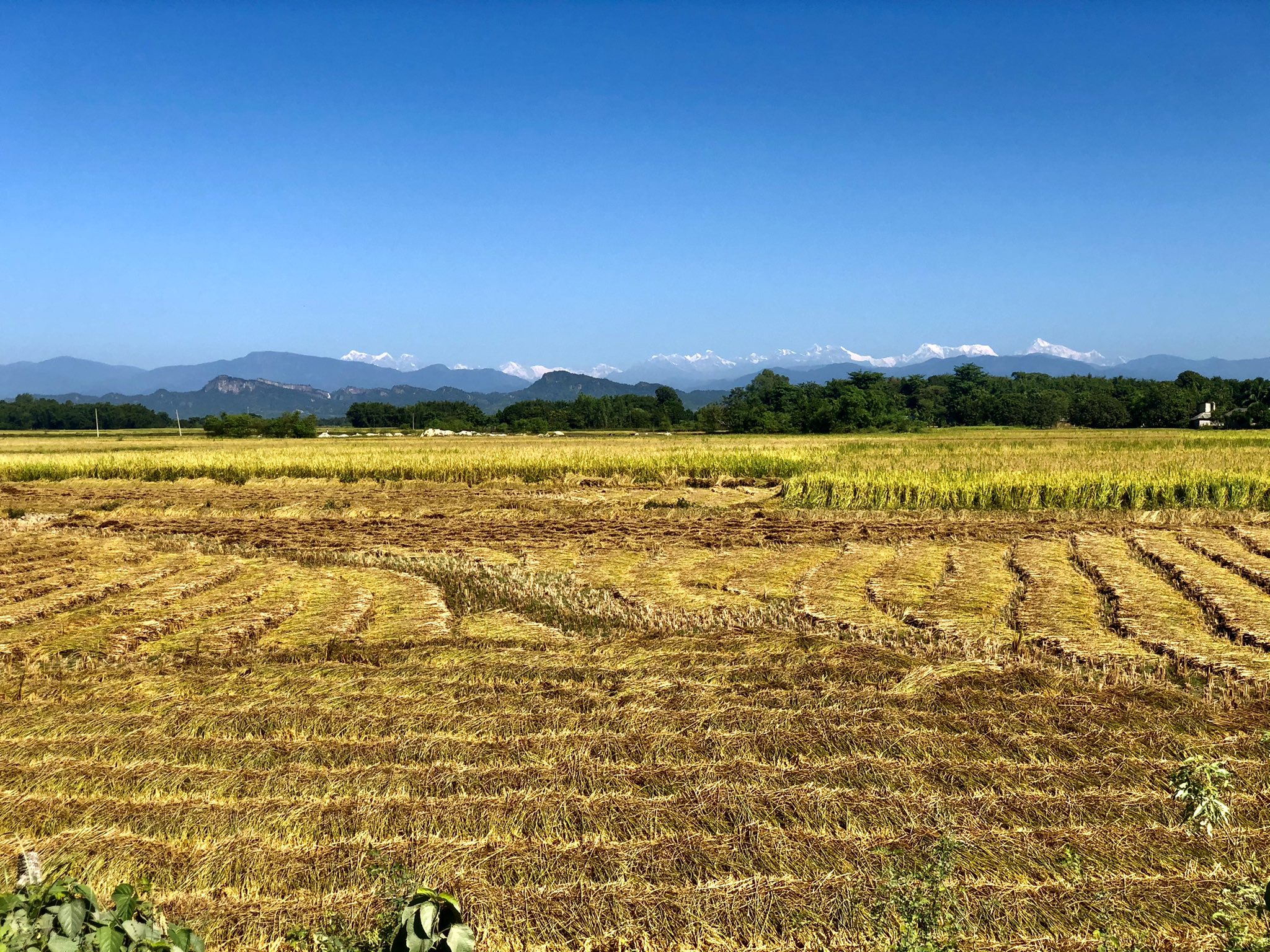 राजविराजबाट शुक्रबार बिहान देखिएको तराई, पहाड  र हिमालको दृश्य। तस्बिर: परमेश्वर झा।