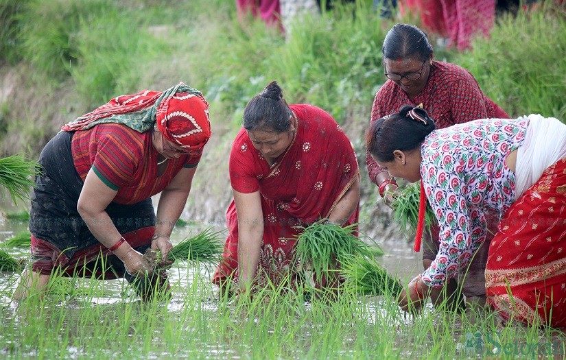 फाइल