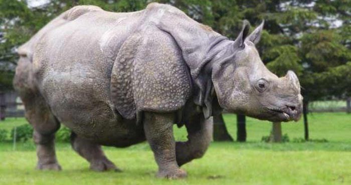 फाइल