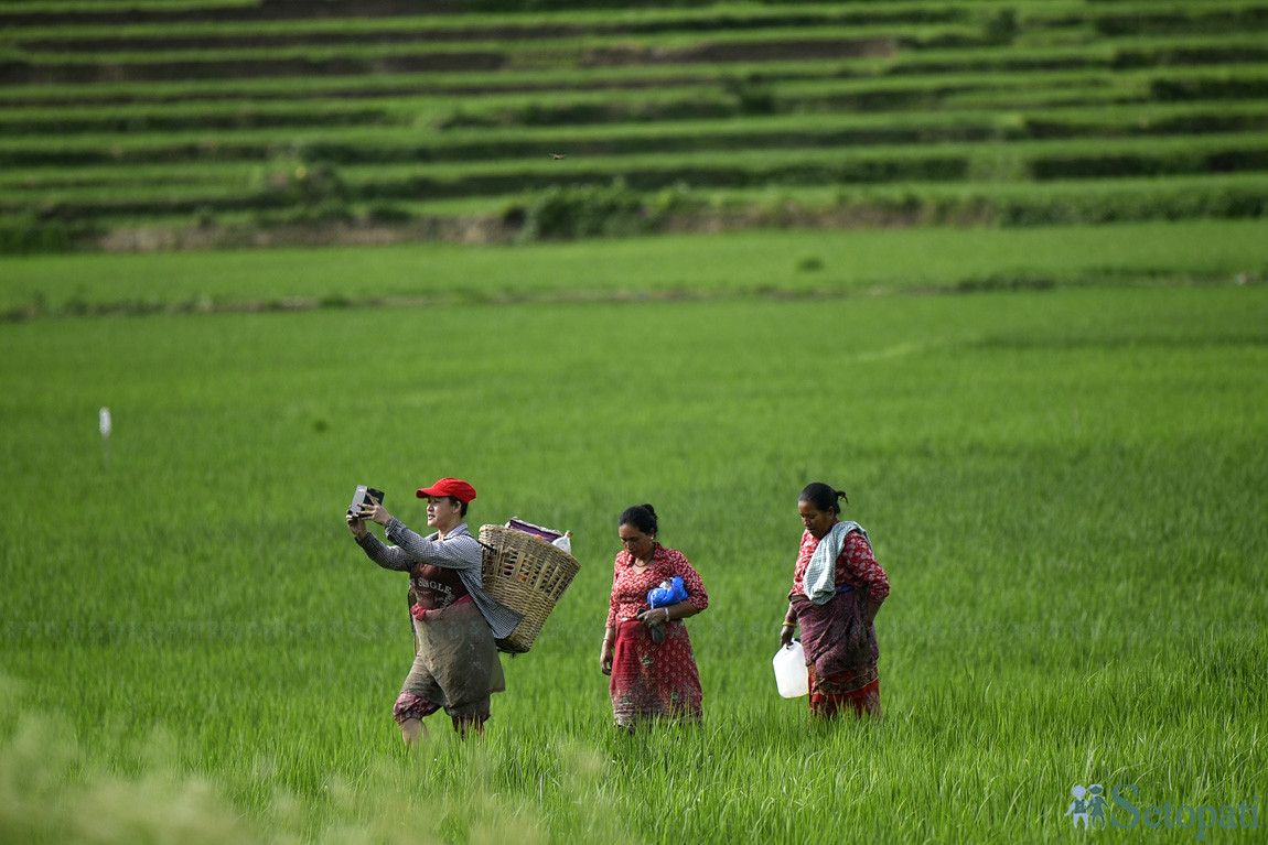 फाइल तस्बिर।