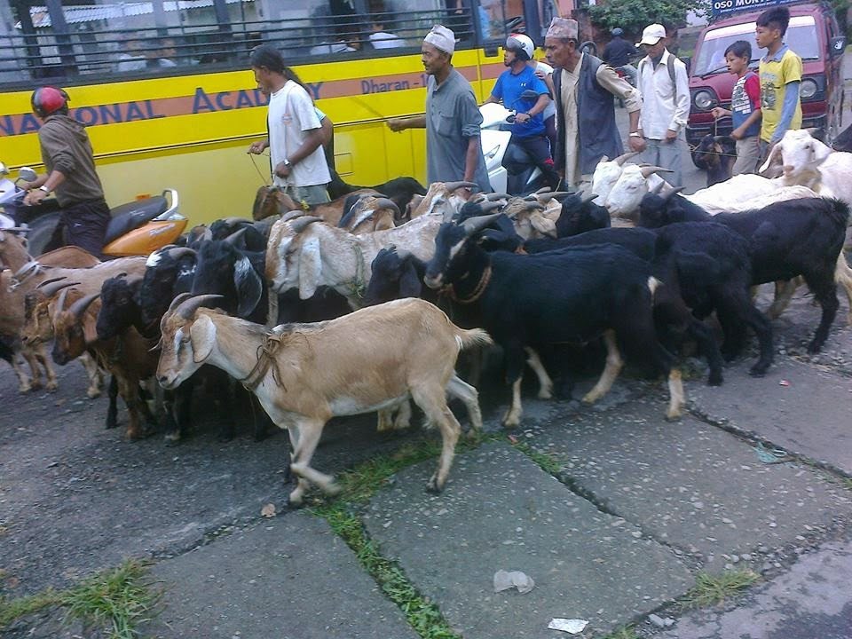 (फाइल फोटो)