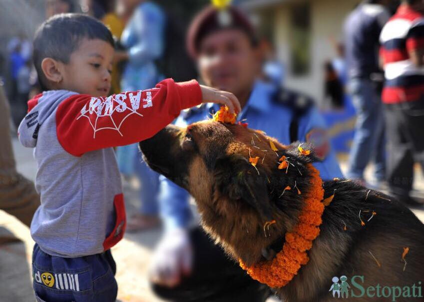 फाइल तस्बिर