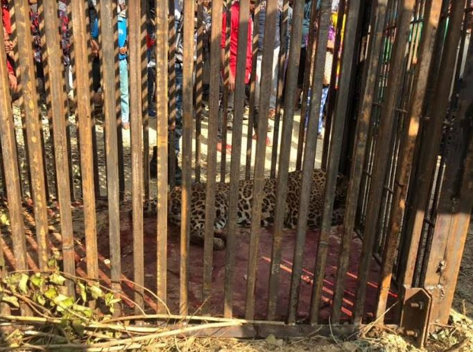 फाइल तस्बिर।