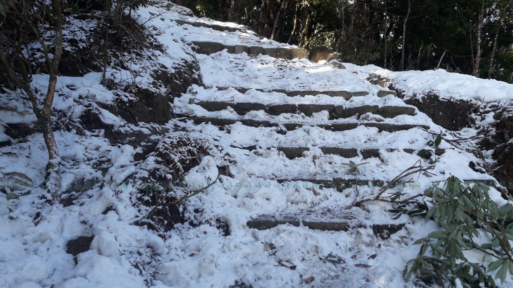 फाइल तस्बिर