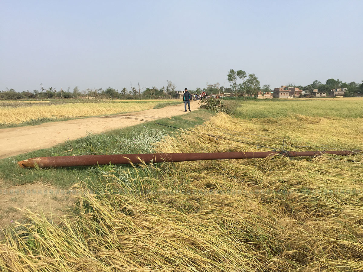 आइतबारको हावाहुरीले बारामा ढालेको बिजुलीको पुल। तस्बिर:  गिरीश गिरी/सेतोपाटी