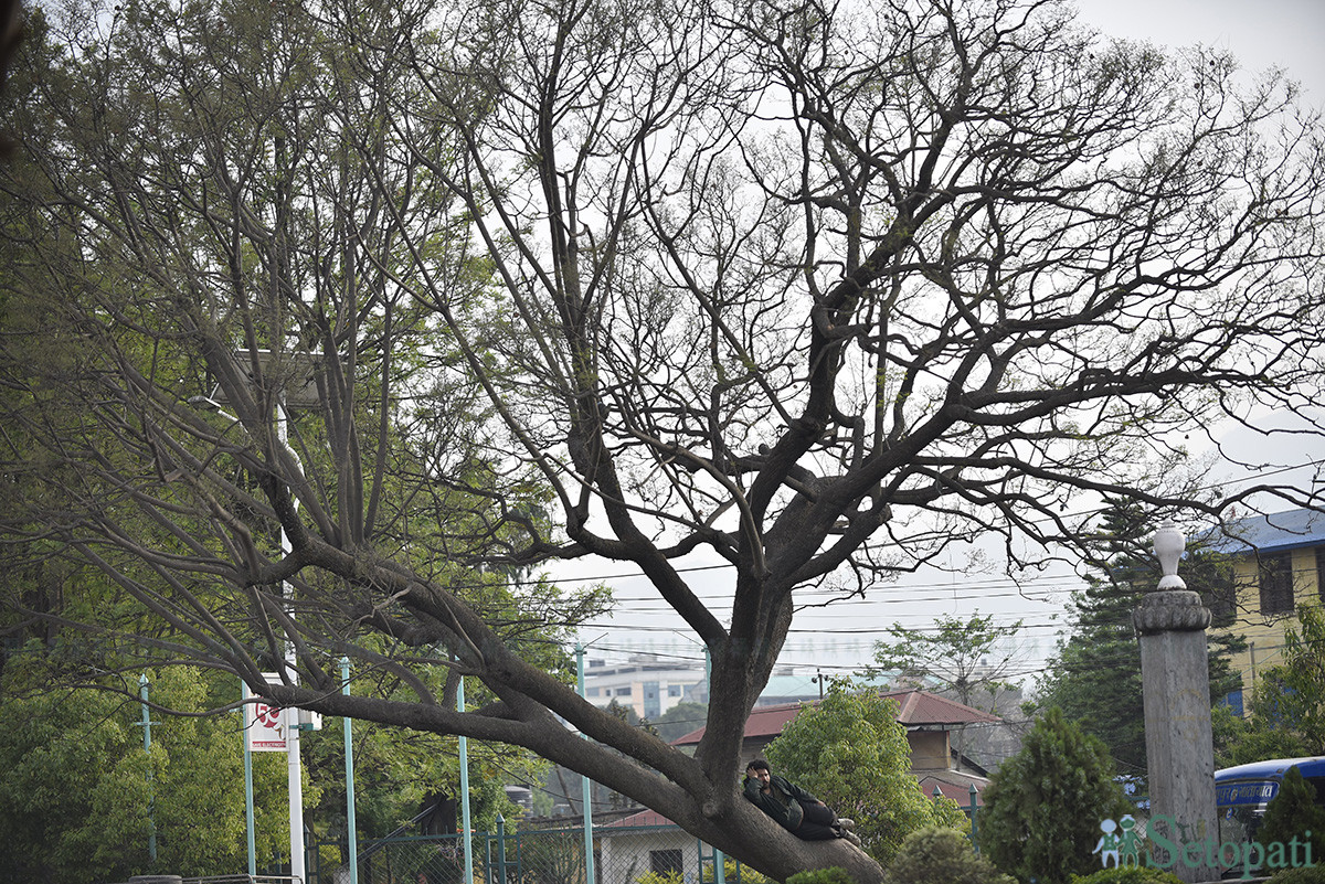 फाइल तस्बिर।