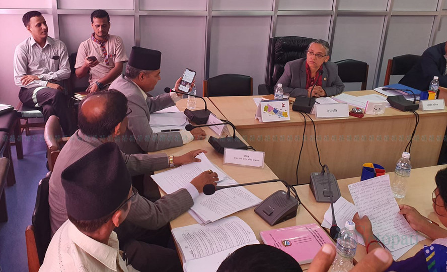 शुक्रबार बसेको विकास समितिको बैठकमा सांसदहरूका प्रश्नको जवाफ दिँदै  मन्त्री गोकुलप्रसाद बाँस्कोटा। फाइल तुस्बिर : मनोज सत्याल/सेतोपाटी