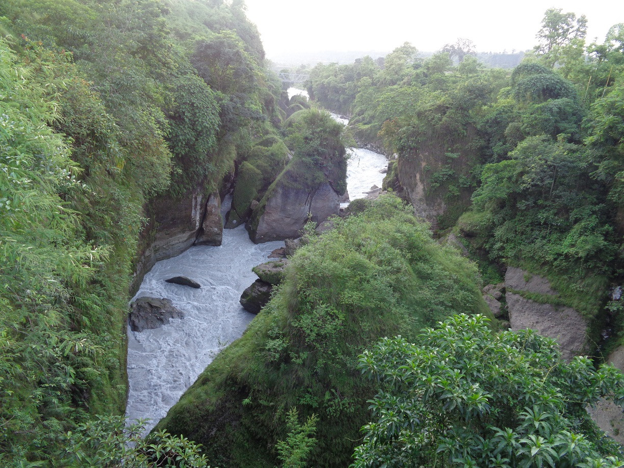 फाइल तस्बिर।