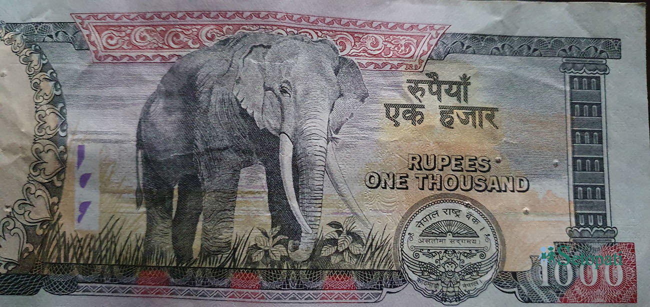 फाइल तस्बिर।