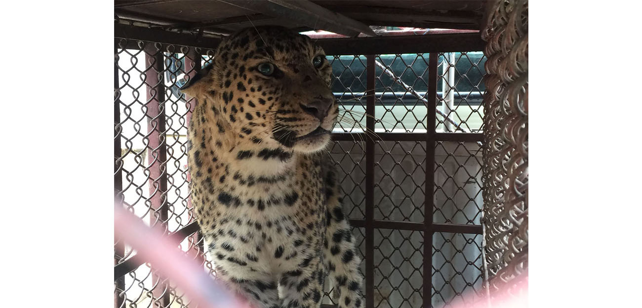 तस्बिर:  कृष्ण न्यौपाने/ तनहुँ