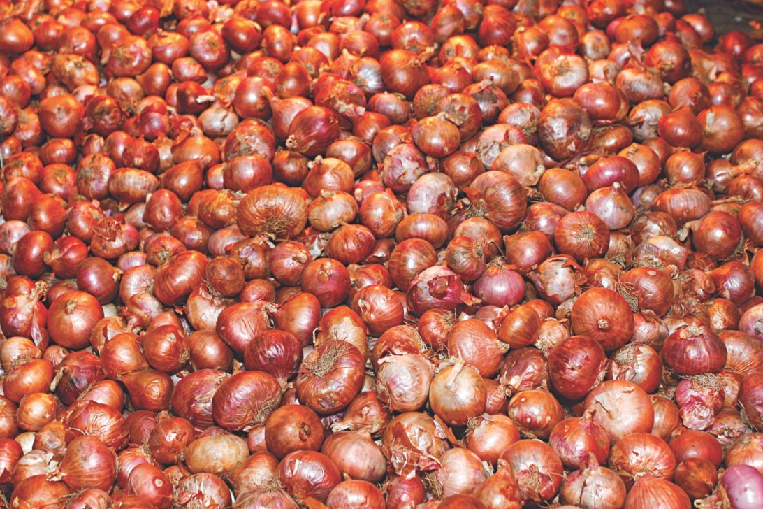 प्याजको मूल्य तीन दिनदेखि स्थिर