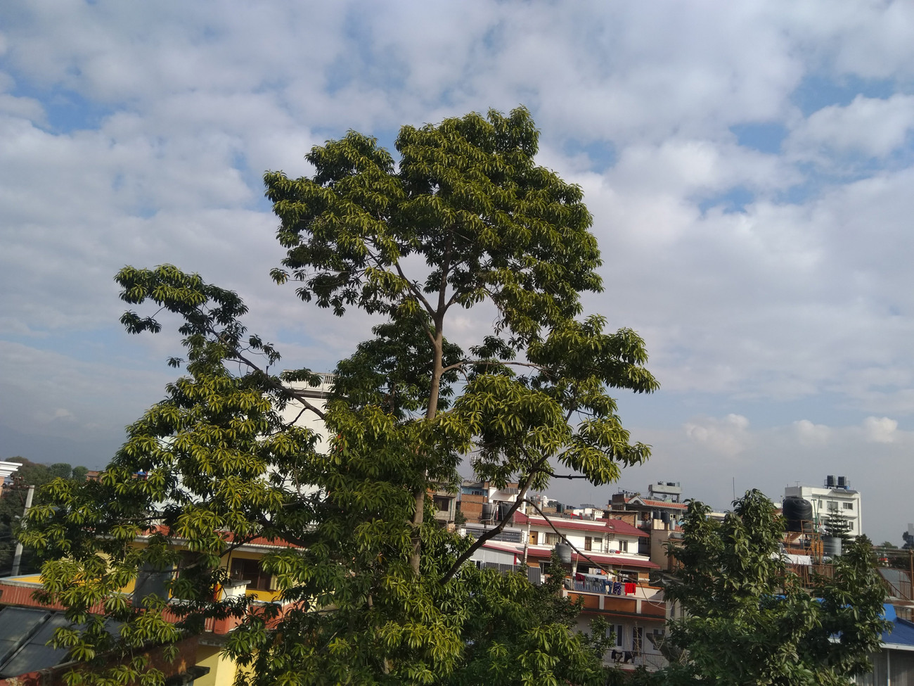 फाइल तस्बिर।
