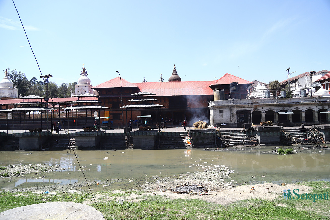 फाइल तस्बिर।