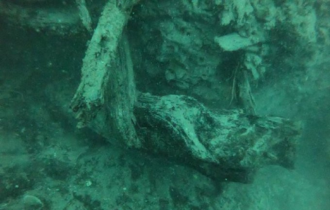 अलबामा तटमुनि फेला परेको ६० हजार वर्ष पुराना रूखका काठ। तस्बिर: सिएनएन