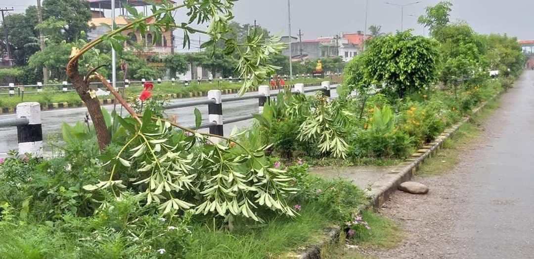 तस्बिर : नारायण भुसालको फेसबुकबाट