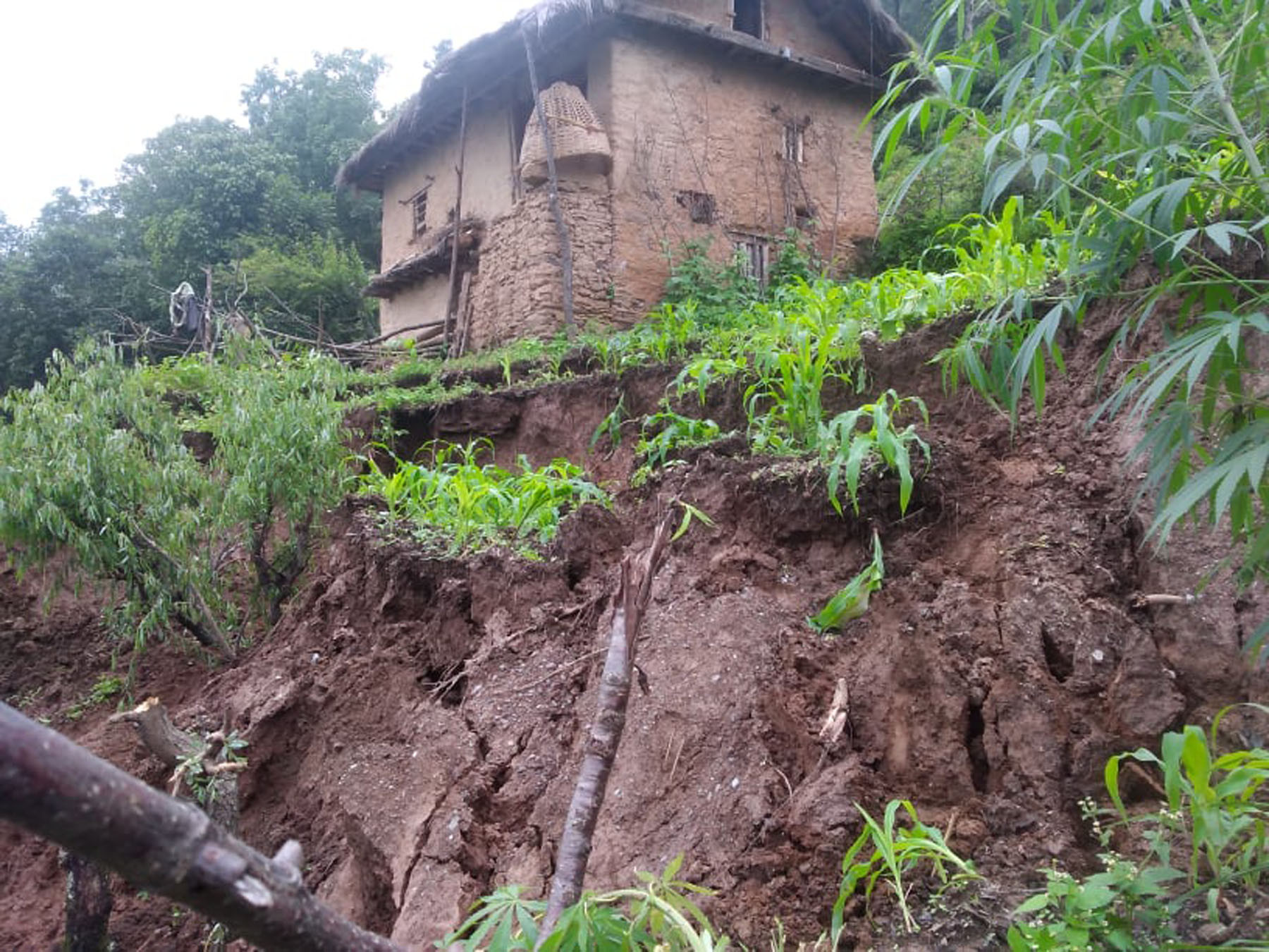 तस्विर: रासस।