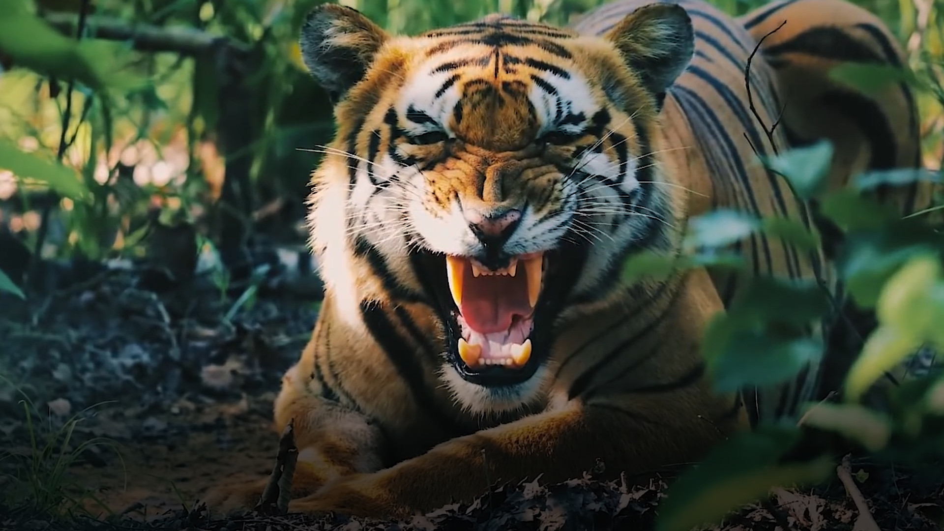 तस्बिरः सागर गिरी