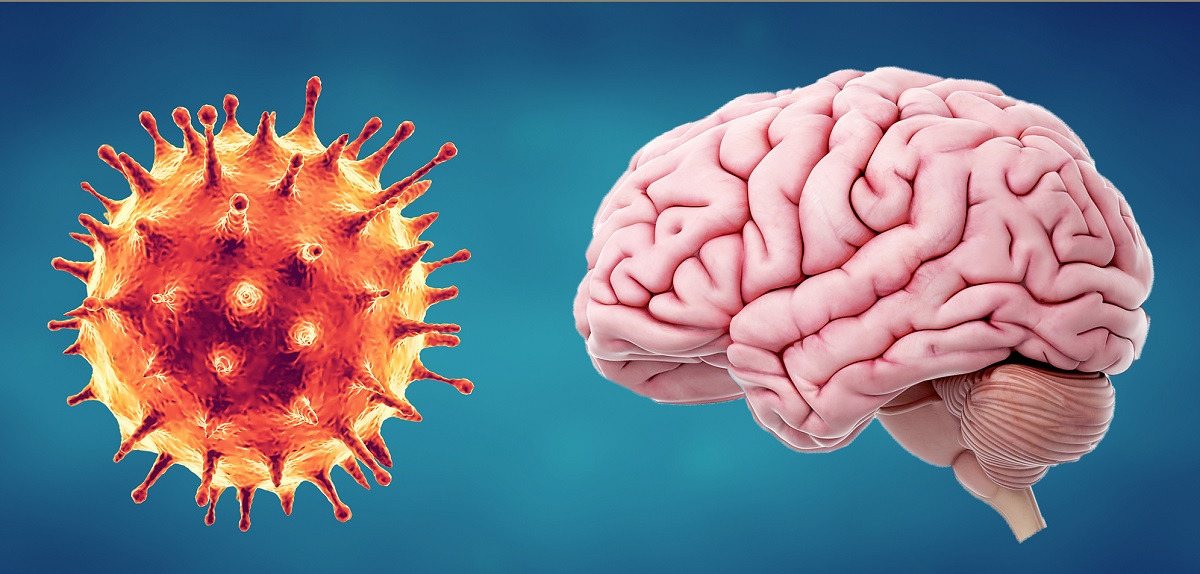 प्रतिकात्मक तस्बिर