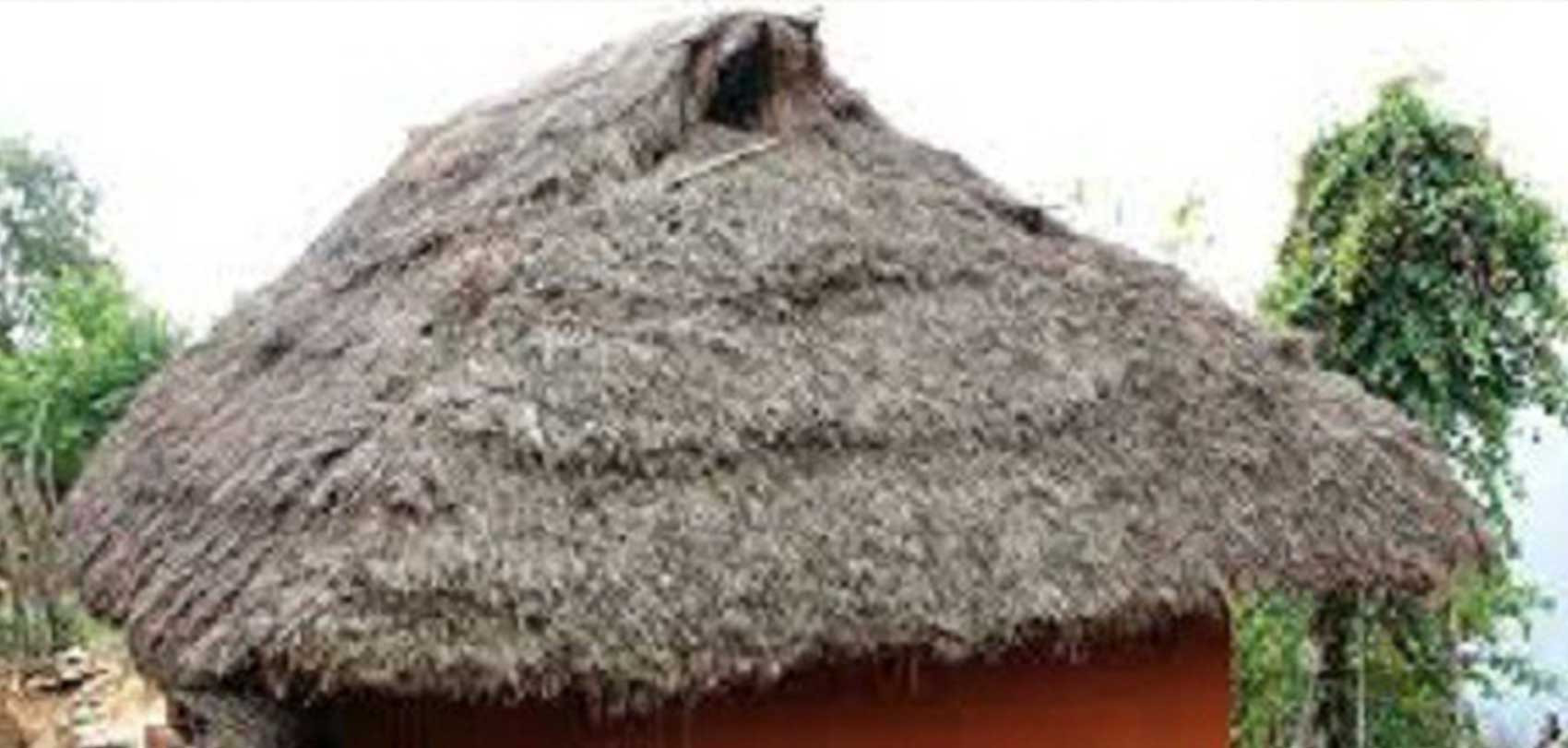 फाइल तस्बिर।