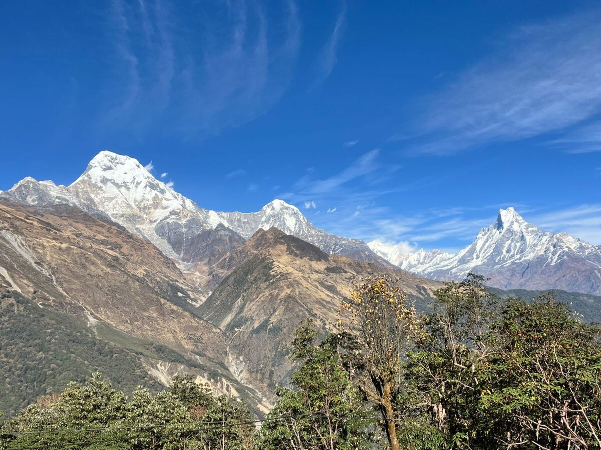 1a-Annapurna-South-and-Machha-1766069672.jpeg