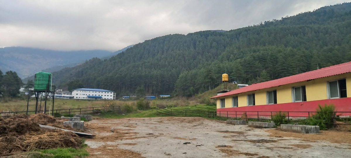 1fce0a5e-02d1-4f53-a79a-988605ca0680-1782556946.jpg