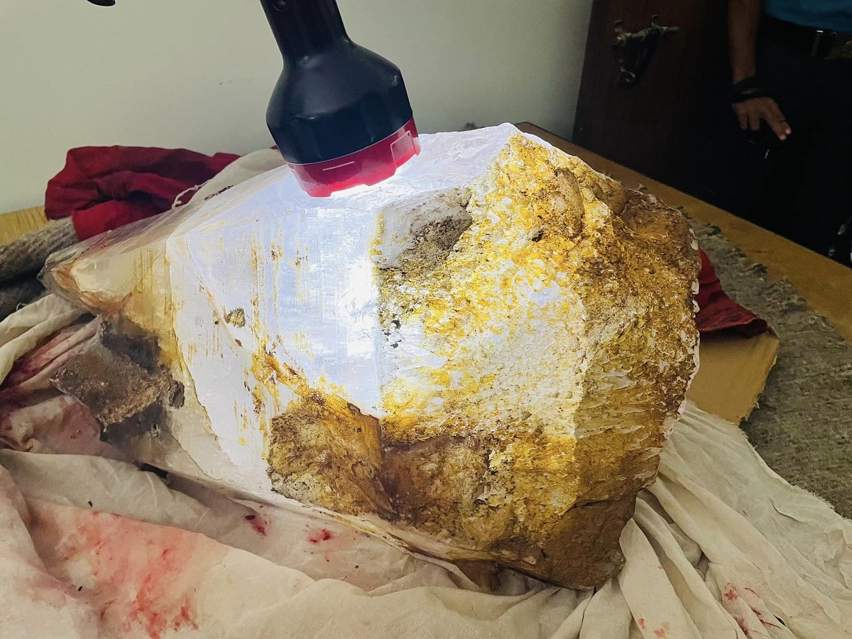 गोरखाका शाही परिवारले पुस्तौंदेखि पुज्दै आएको पारदर्शी ढुंगा। परीक्षणबाट यो क्वार्ज क्रिष्टल भएको पुष्टि भएको छ।