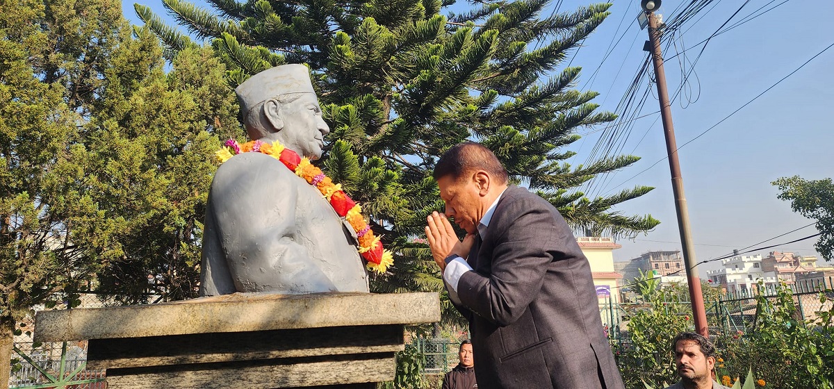 तस्बिर सौजन्य: युपी लामिछाने।