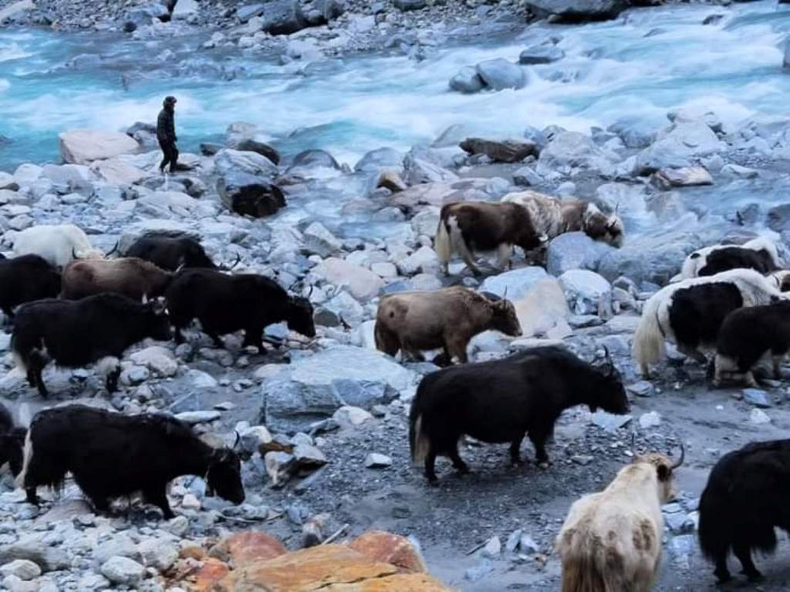 आजका तस्बिर- पुस  २६