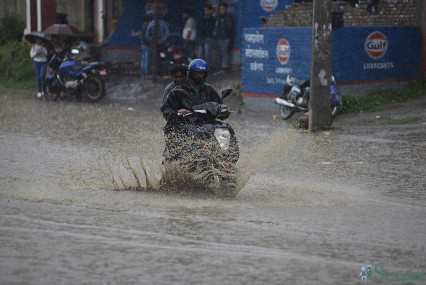 फाइल तस्बिर।