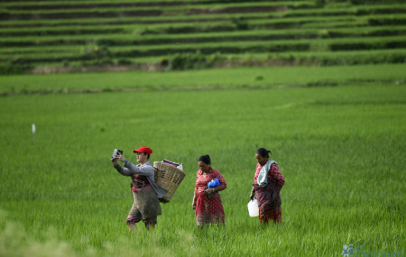 फाइल तस्बिर।