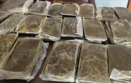 फाइल तस्बिर