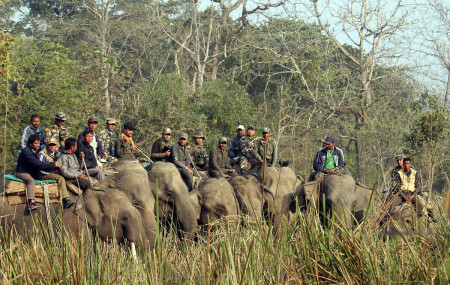 फाइल तस्बिर