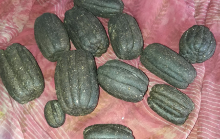 फाइल