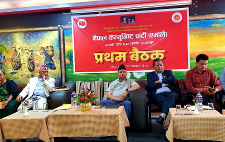 तस्बिरः नेकपा (एमाले) को वेब साइट