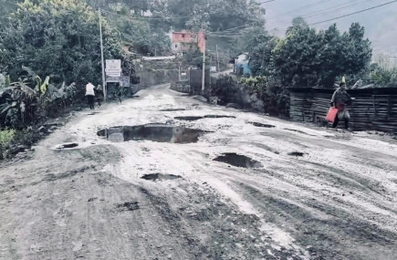 तस्बिर: गणेश गौतम।