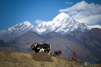 फाइल तस्बिर। सेतोपाटी