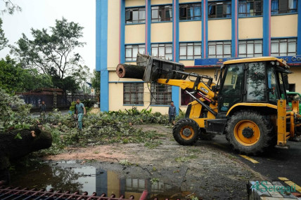 हावाले वायु सेवा निगम परिसरमा ढल्यो रूख, गेट र पर्खालमा क्षति (तस्बिरहरू)