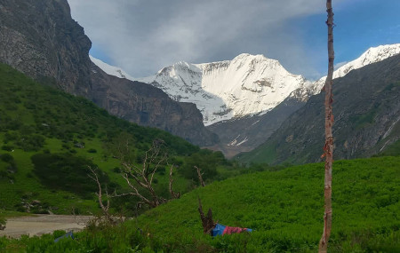 फाइल।