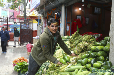 आफ्नो तरकारी पसलमा कृष्ण अधिकारी। तस्बिरः नवीनबाबु गुरूङ/सेतोपाटी
