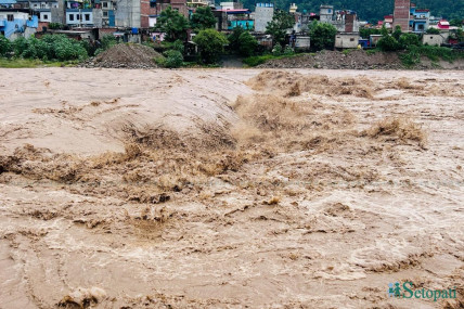 बुटवलमा बढेको तिनाउ। तस्बिरः नेपाल फोटो लाइब्रेरी।
