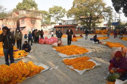 तस्बिर स्रोत: काठमाडौं महानगर